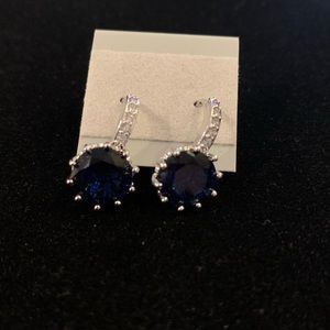 Gorgeous CZ Earrings